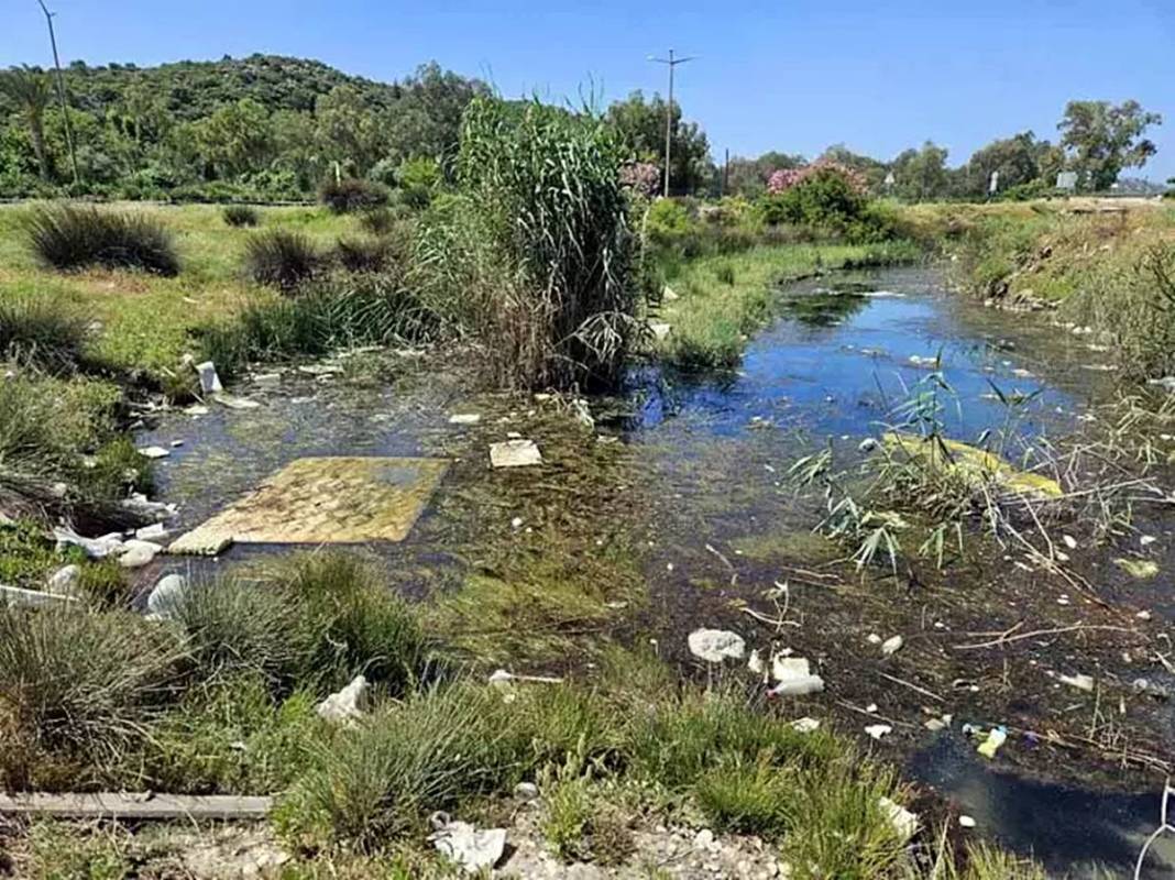 Geçmişten gelen şifa: Yıllarca saklı kalan termal tesis turizme açılıyor! Çöpten çıkan 1800 yıllık kutsal çeşme 13